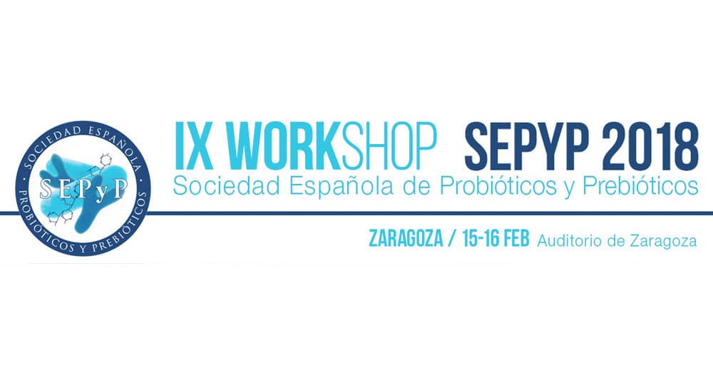 IX Workshop SEPYP 2018